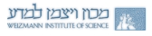 logo-institut weizman